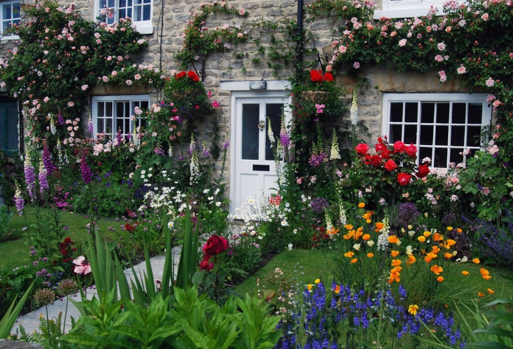 cottage garden