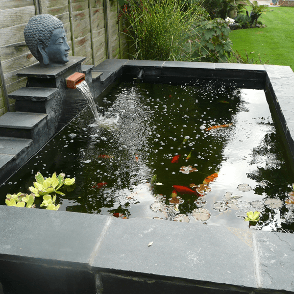 raised pond installation romford/havering essex